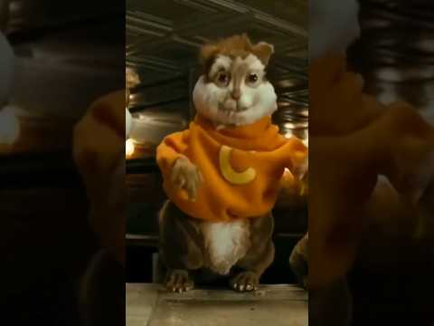 💥¿Que pasó con Disaster Movie?💥