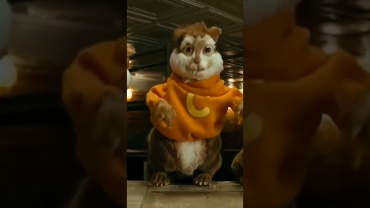 ¿Qué ocurrió con la película Disaster Movie? 🎬