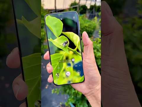 Top 3 best camera phone under 20k🔥#samsunggalaxyf36 #iqooz10r #realme15pro #review #satya07