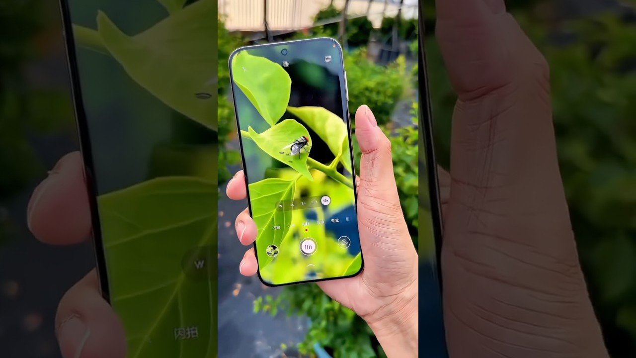 Top 3 Best Camera Phones Under ₹20,000 in 2024 📱 | Top 3 Picks from Samsung, iQOO, and Realme