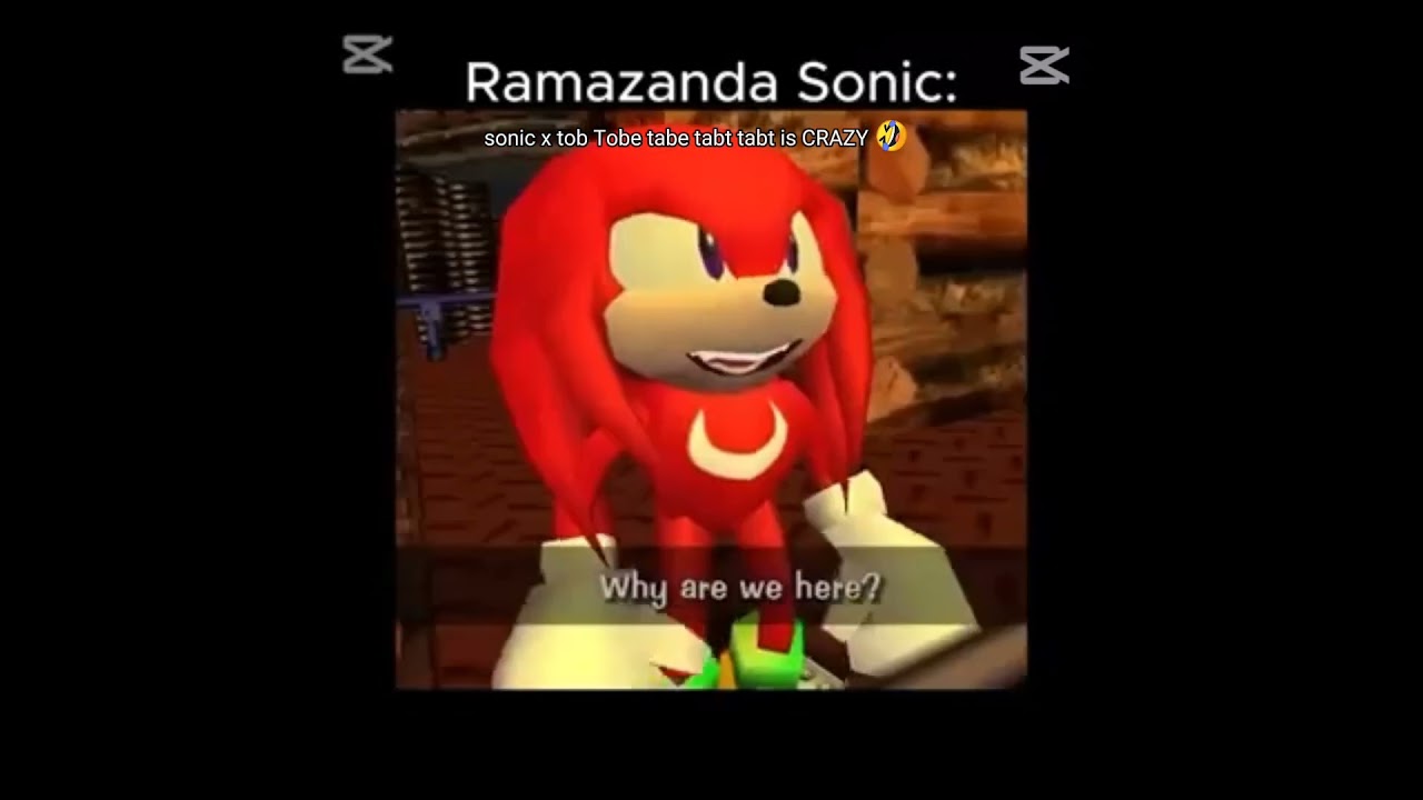 Sonic Tab Tabi Tob 😂