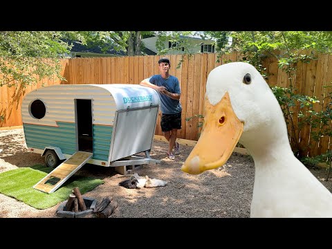 Building a Camper for Ducks!