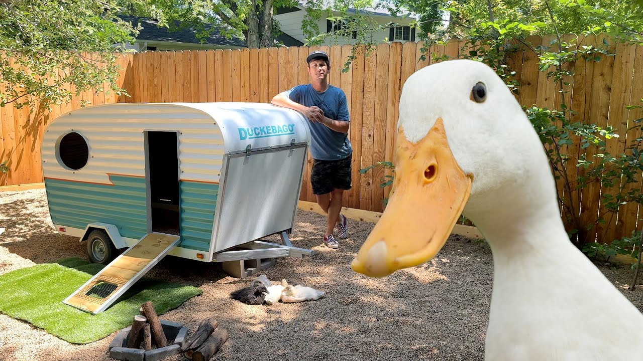 Constructing a Camper for Ducks