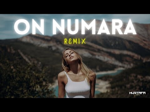 Aysu Baceoğlu - içeri girerken dikkat et bak kapıda yazıyor 10 numara ( Mustafa Atarer Remix )