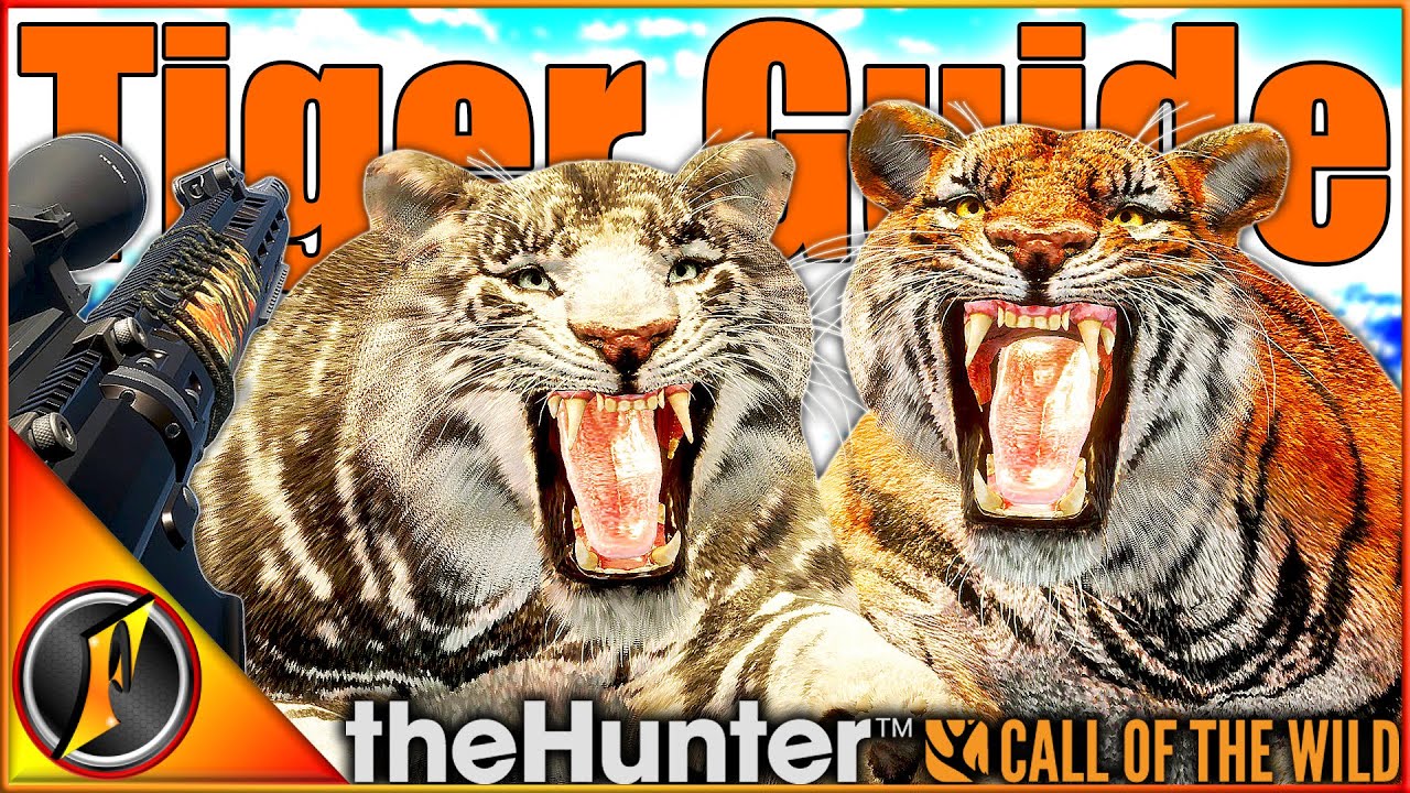 Tiger Hunting Guide π
| Locations, Times & Tips