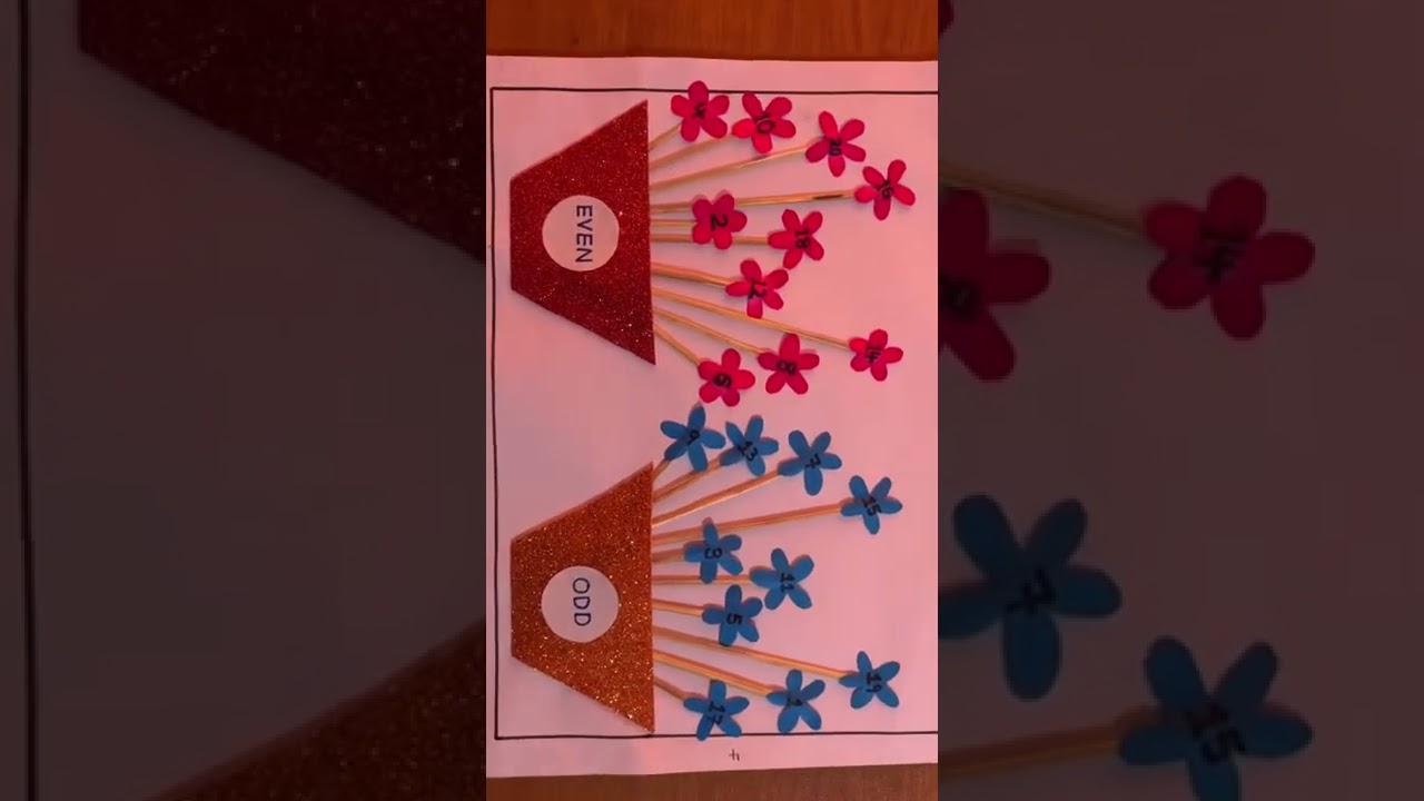 Fun Math Project: Odd & Even Numbers Explained! 🤩