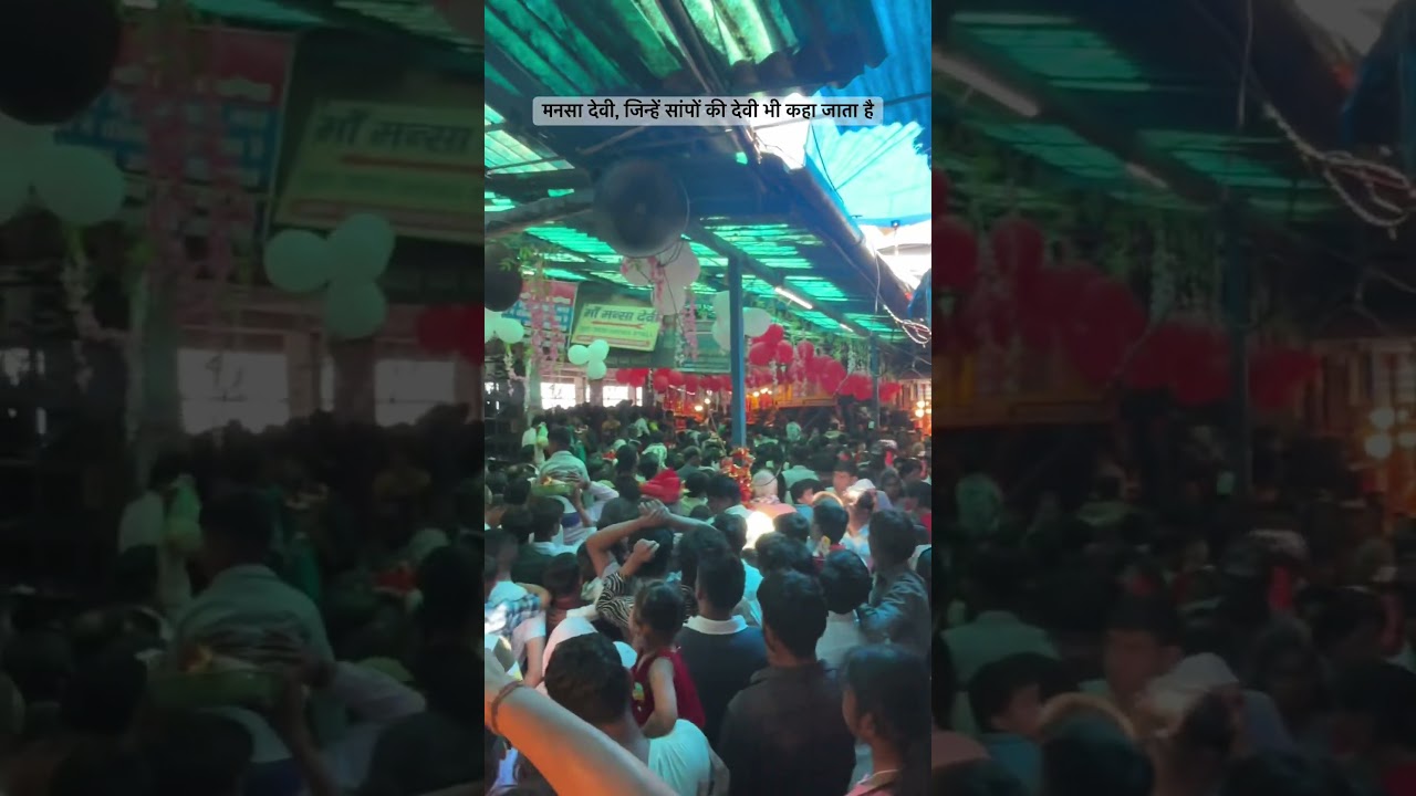 मनसा देवी: सांपों की देवी हरिद्वार में 🐍