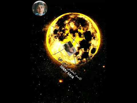 معلومات عن سراي كايا