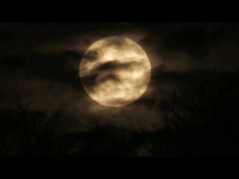 Supervollmond November 2016 (#2)