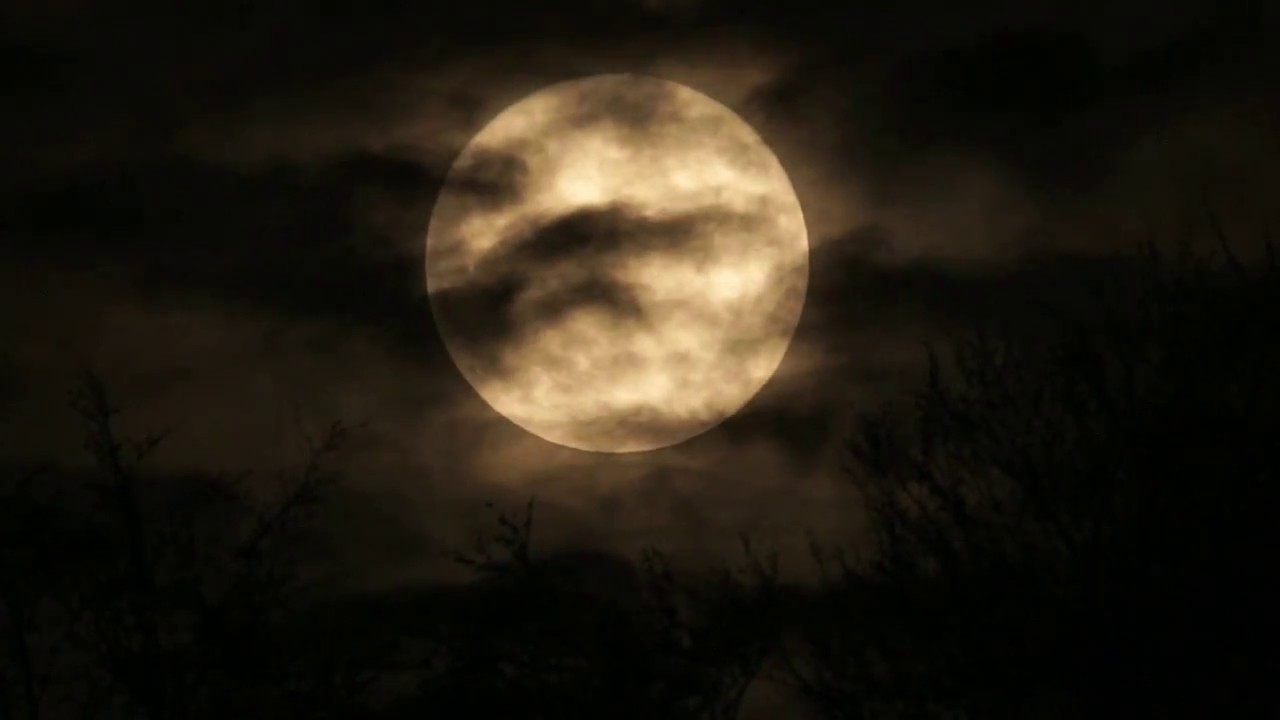 Supervollmond November 2016: Farbige Aufnahme bei Wolken und Nahdistanz