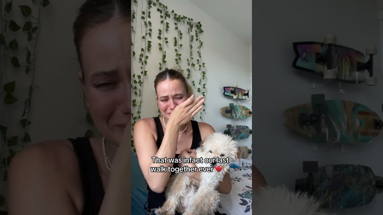 Dreamed of Clover 🐾 - Pet Loss & Grief