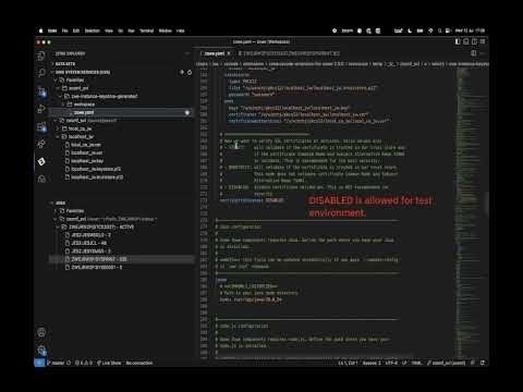 Use a PKCS12 keystore with Zowe generated certificate 5 - Launch Zowe