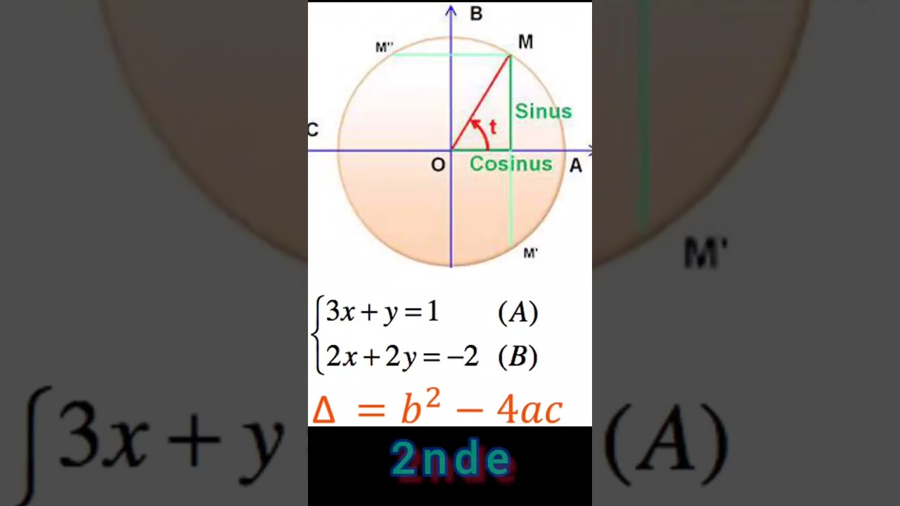 Maths : Du CP au Bac+5 en un coup d'œil 🤯 #shorts