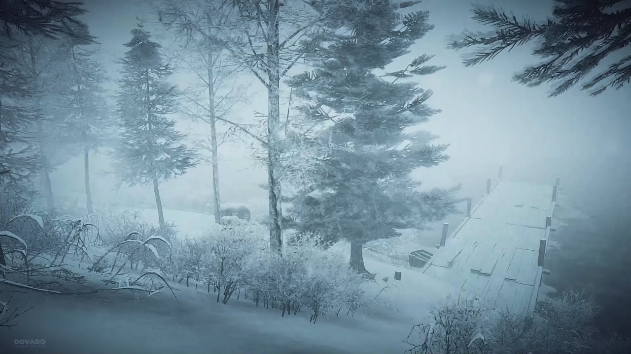 Winter Storm at the Lake ❄️ Relaxing Snow Sounds