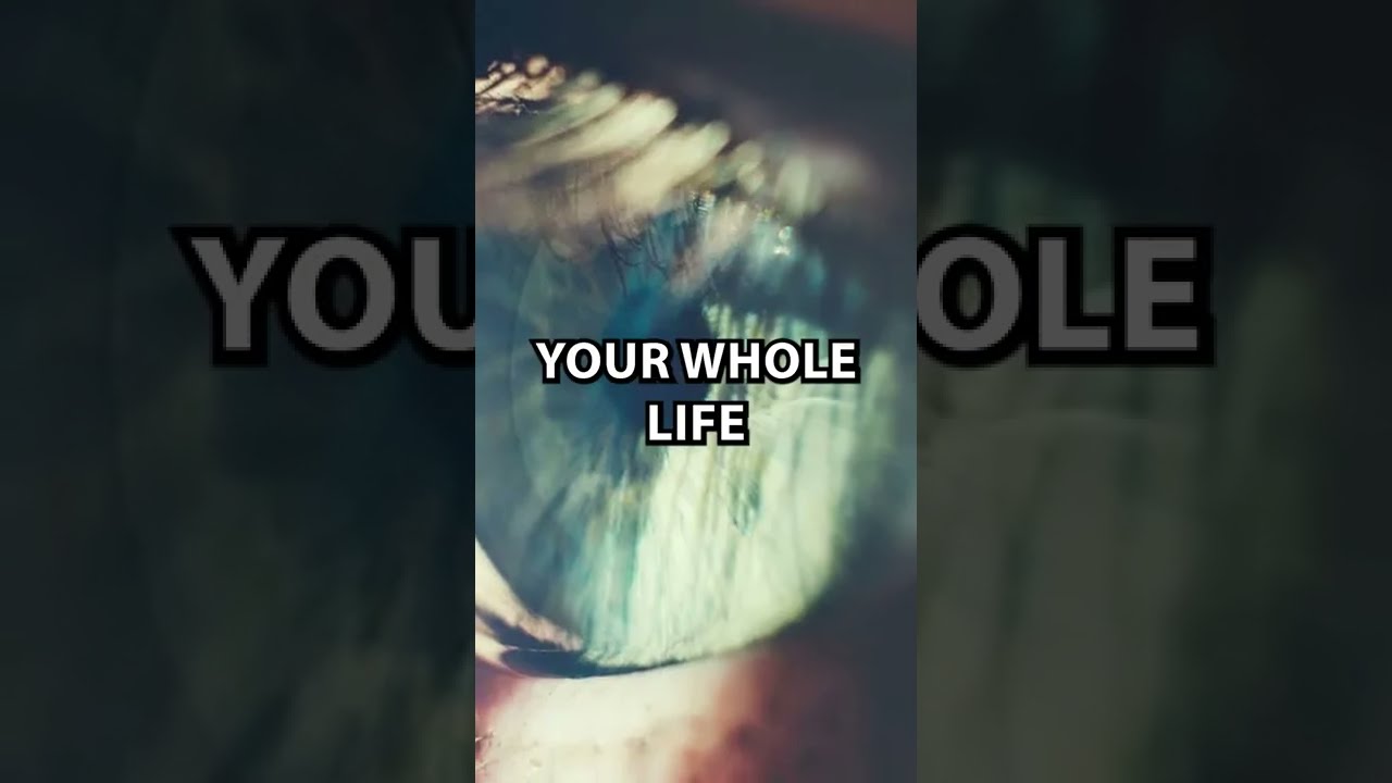 Did the World End in 2012? 🤔