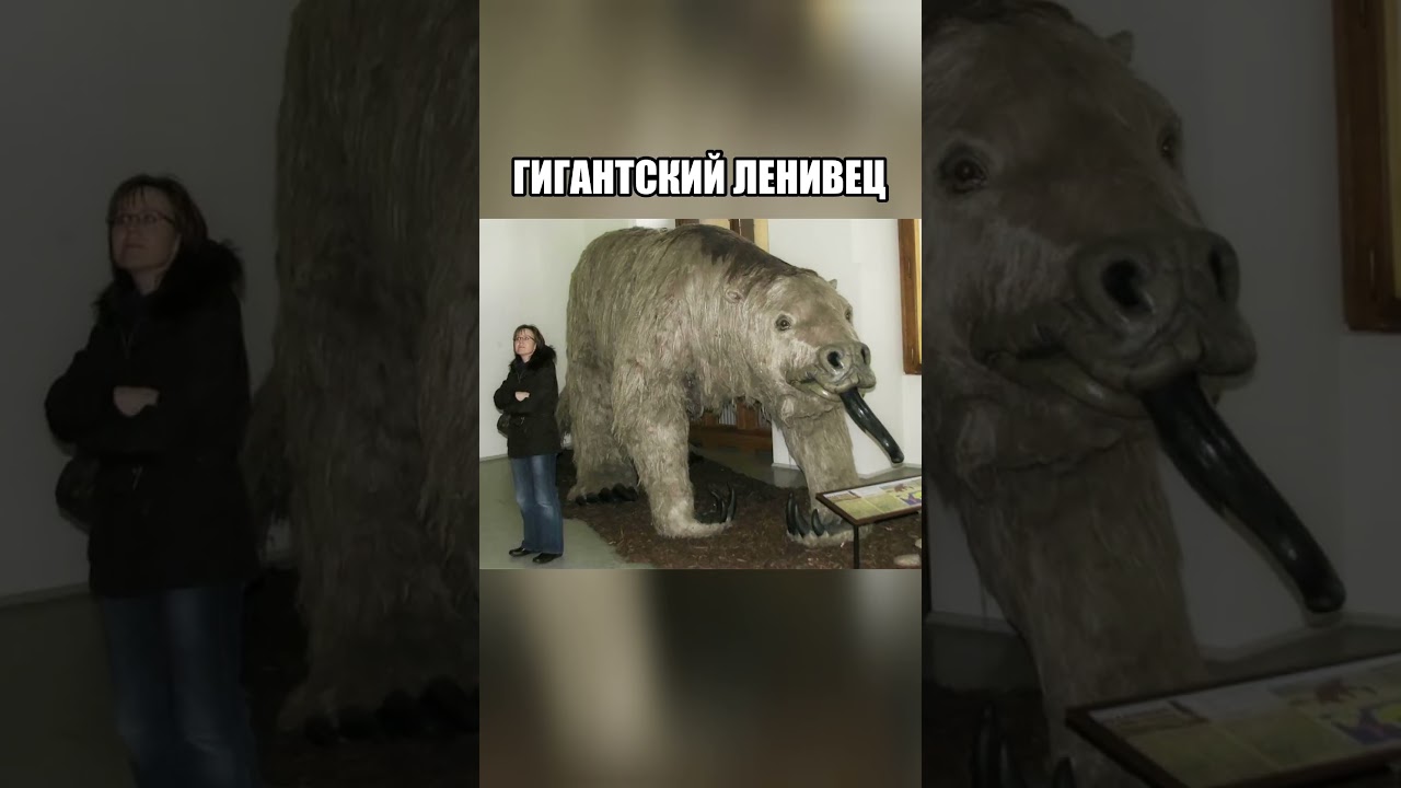 Учёные мечтают оживить исчезнувших животных 🦖