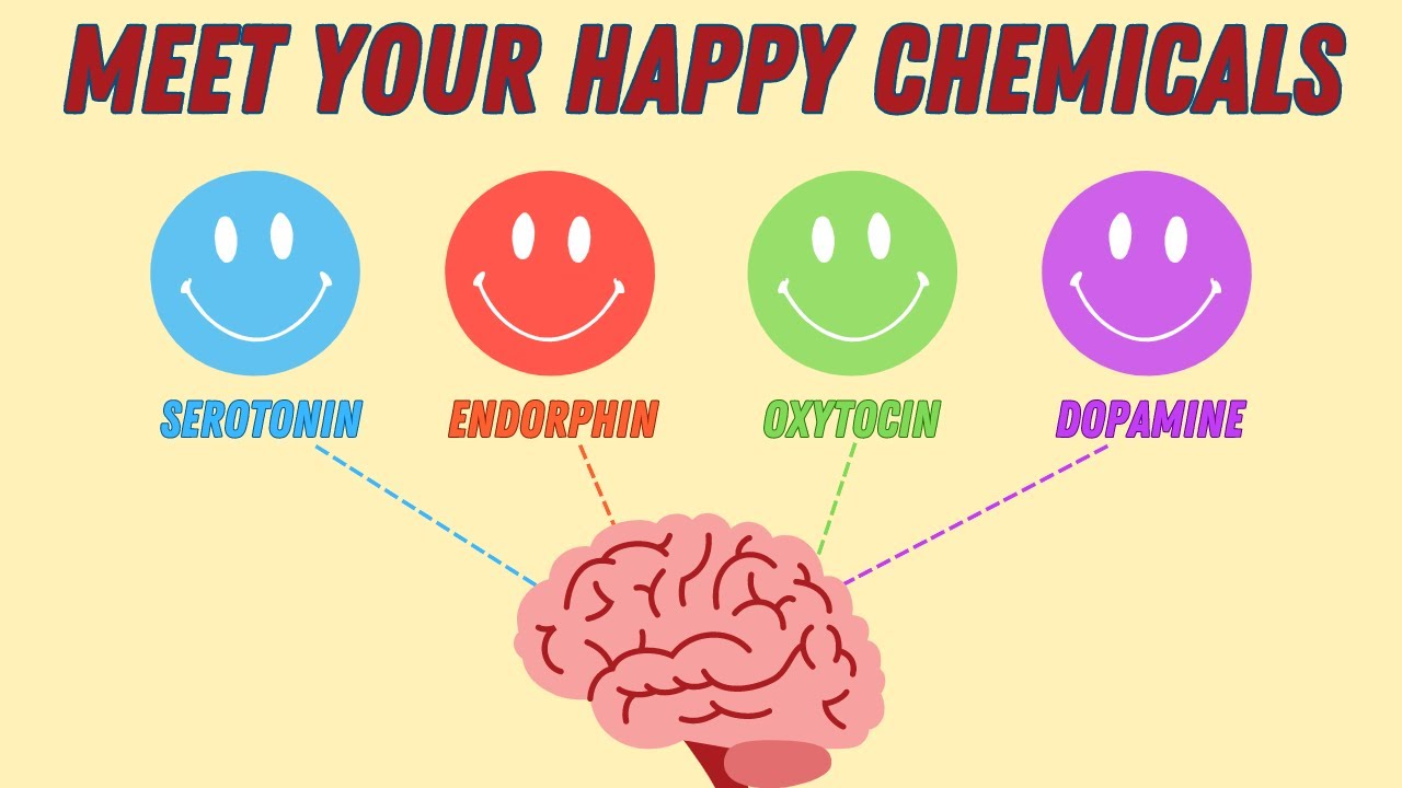 Boost Your Happiness Hormones 😊