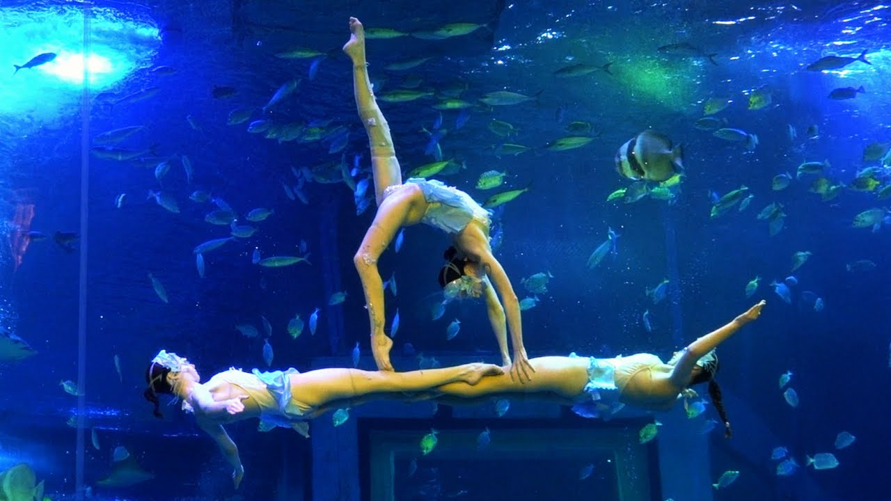 Aquarium Underwater Ballet: Group Performance Skills 🌊