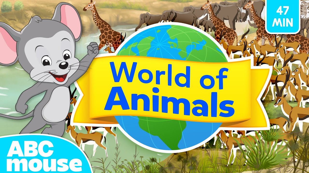 Explore the Animal World | 47-Minute Kids' Episode 🐾