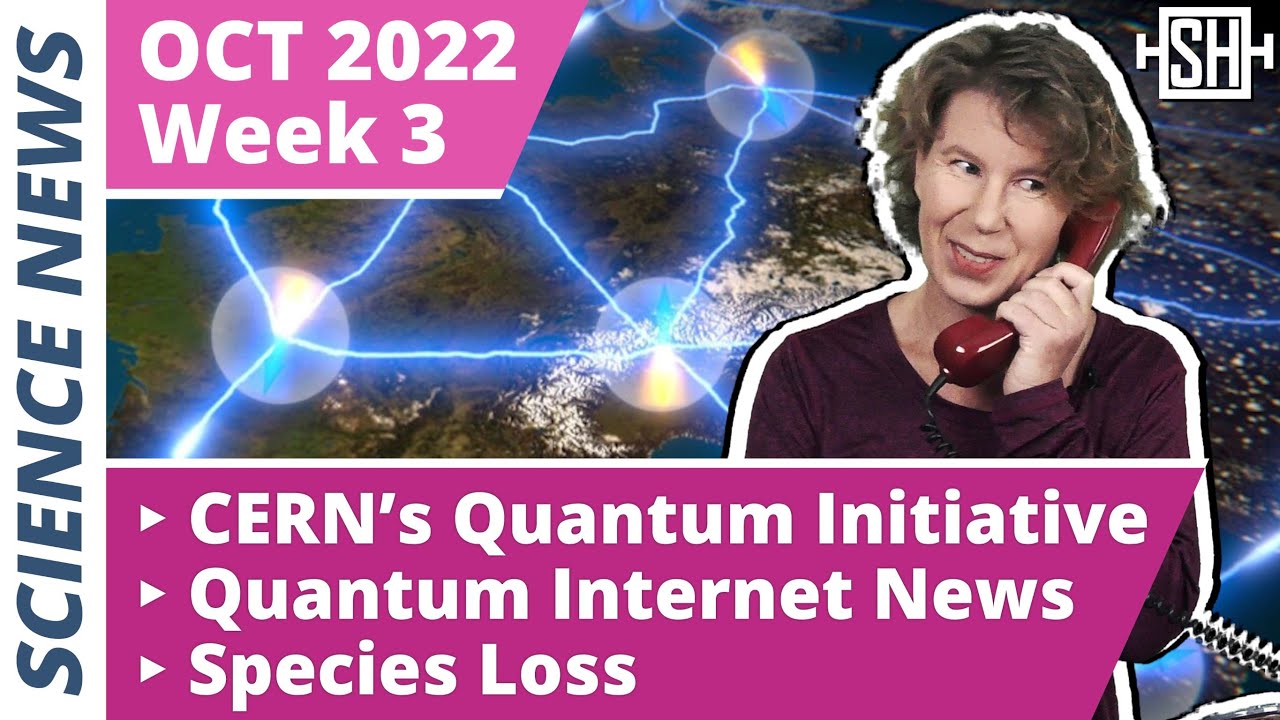 Do We Need a Quantum Internet? 🔗