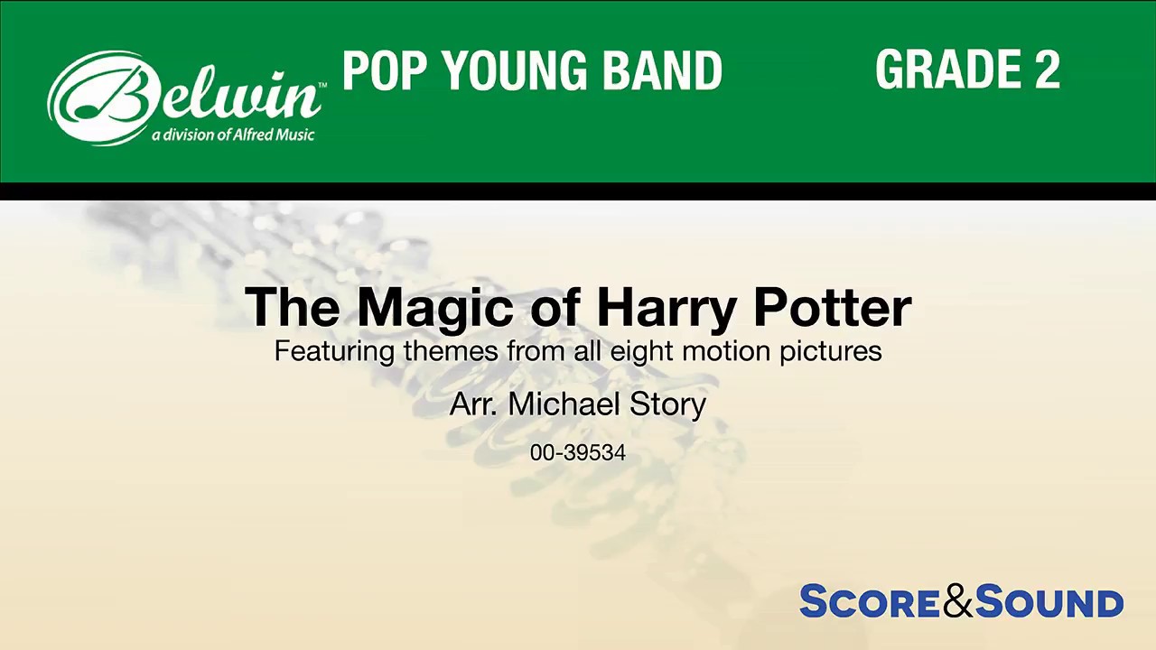 Harry Potter Themes by Michael Story ✨