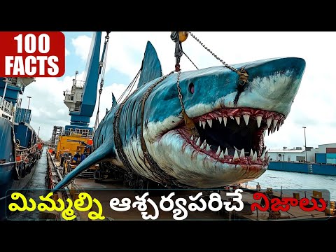 100 Fascinating Telugu Facts 🌊