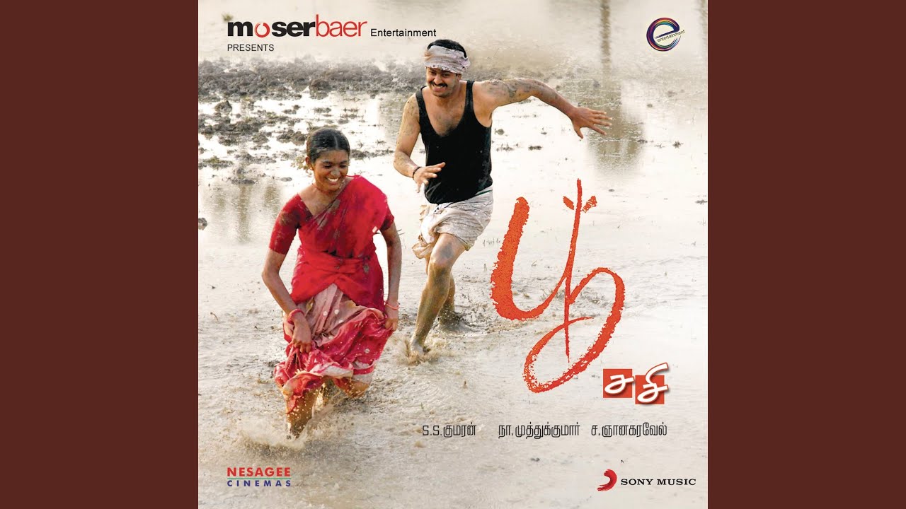 Aavaram Poo Song by S.S. Kumaran & Chinmayi 🎶