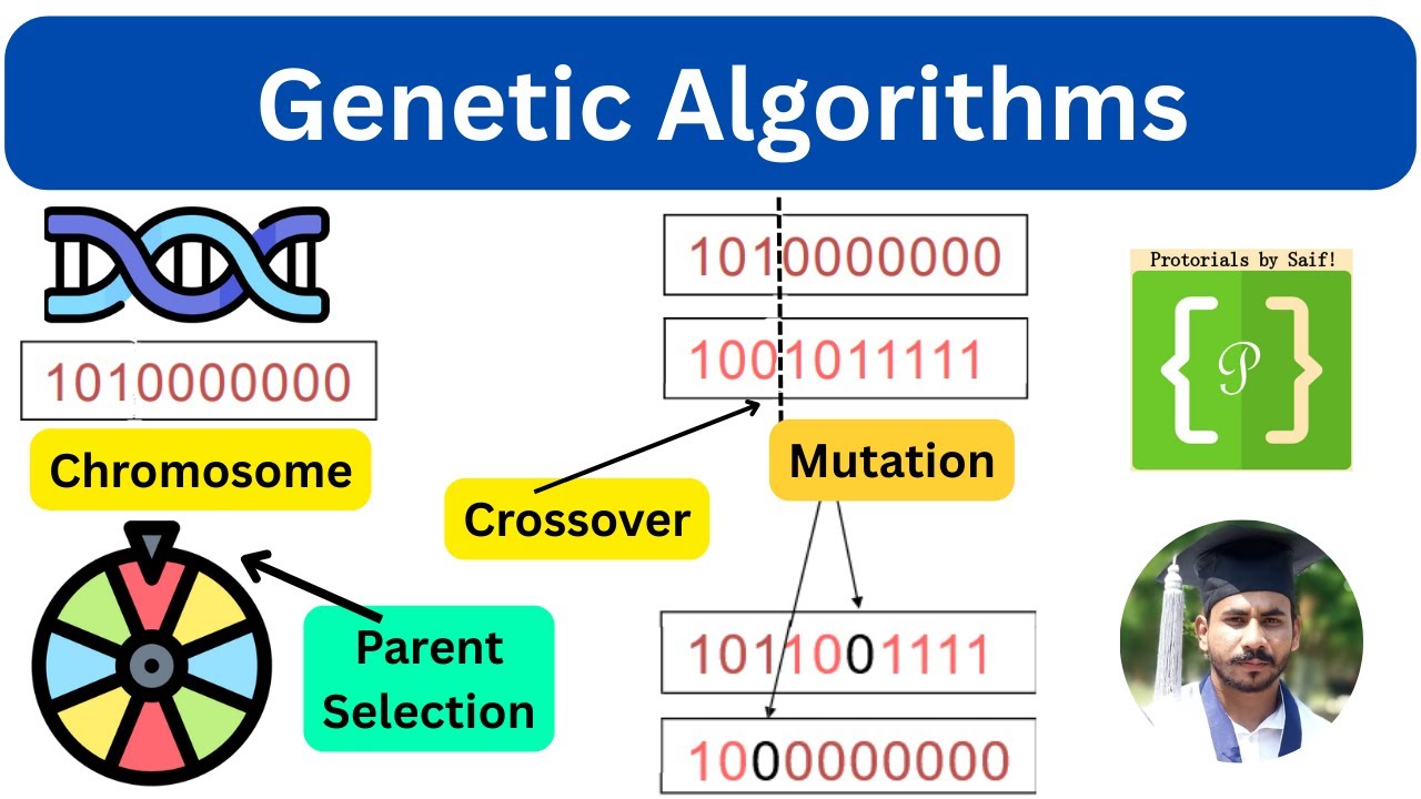 Genetic Algorithms: Key Concepts & Processes