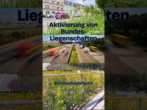 noch 13 Tage bis zur BTW25