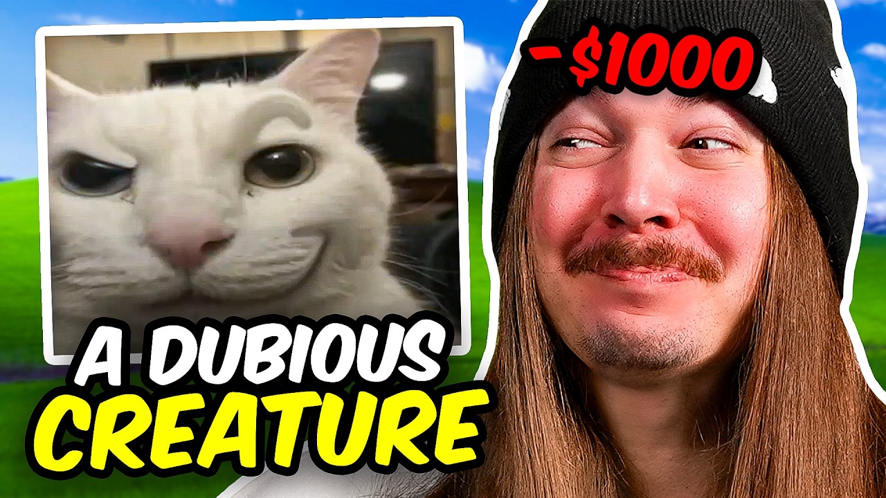 Laugh, Lose $1000! Miyabi Joins ZZZ 🎮