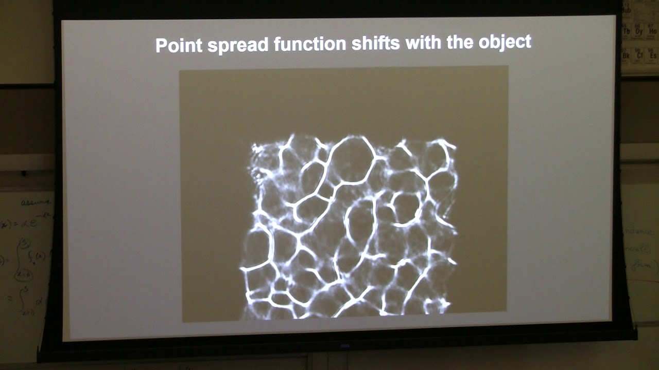 Unlocking the Secrets of Light: Computational Microscopy with Laura Waller 🔬