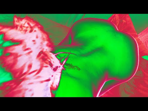 Yan Block - 50/50 (Audio Oficial)