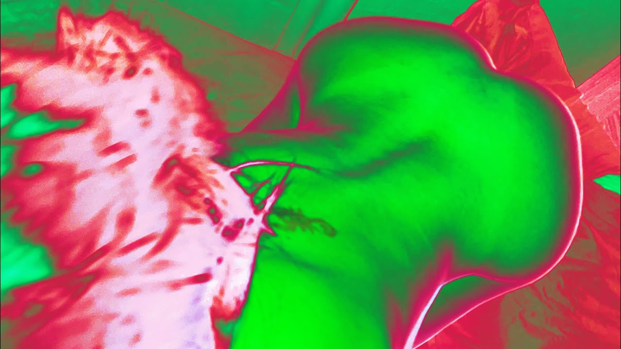 Yan Block - 50/50 (Official Audio) 🎶