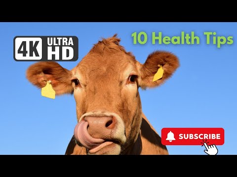 10 Top 10 Tips for Healthy Cows 🐄