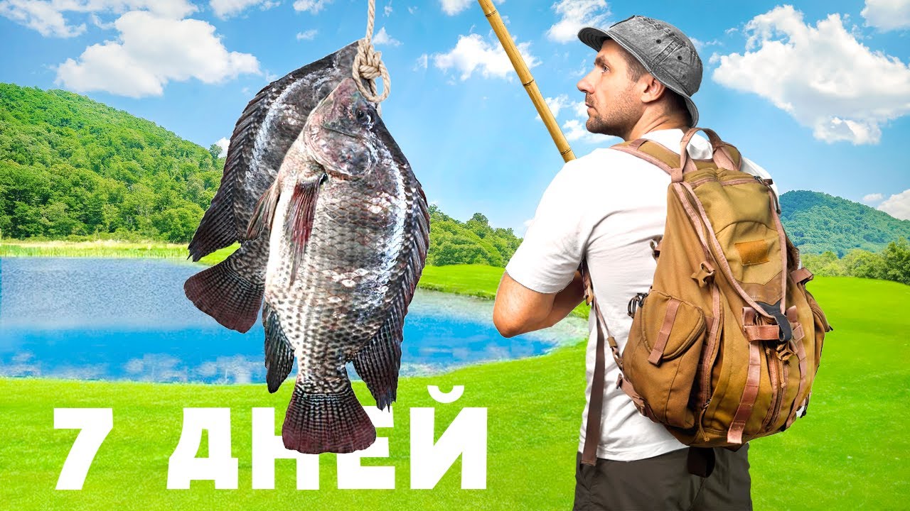 7 дней в лесу без еды и воды — испытание на выживание [Часть 1]