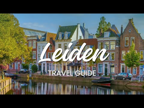 12 Essential Travel Tips for Leiden 🏛️