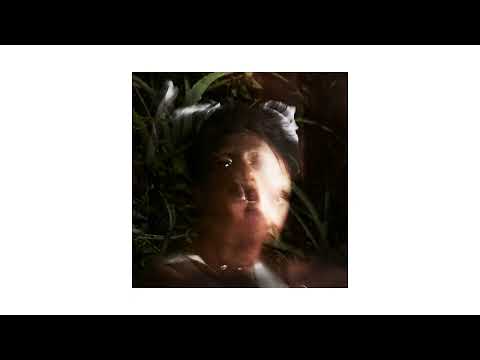 Santigold - Witness (Official Audio)