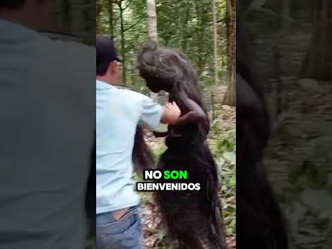 Las islas más peligrosas del mundo 🌎🤯 #curiosidades #shorts #estadosunidos