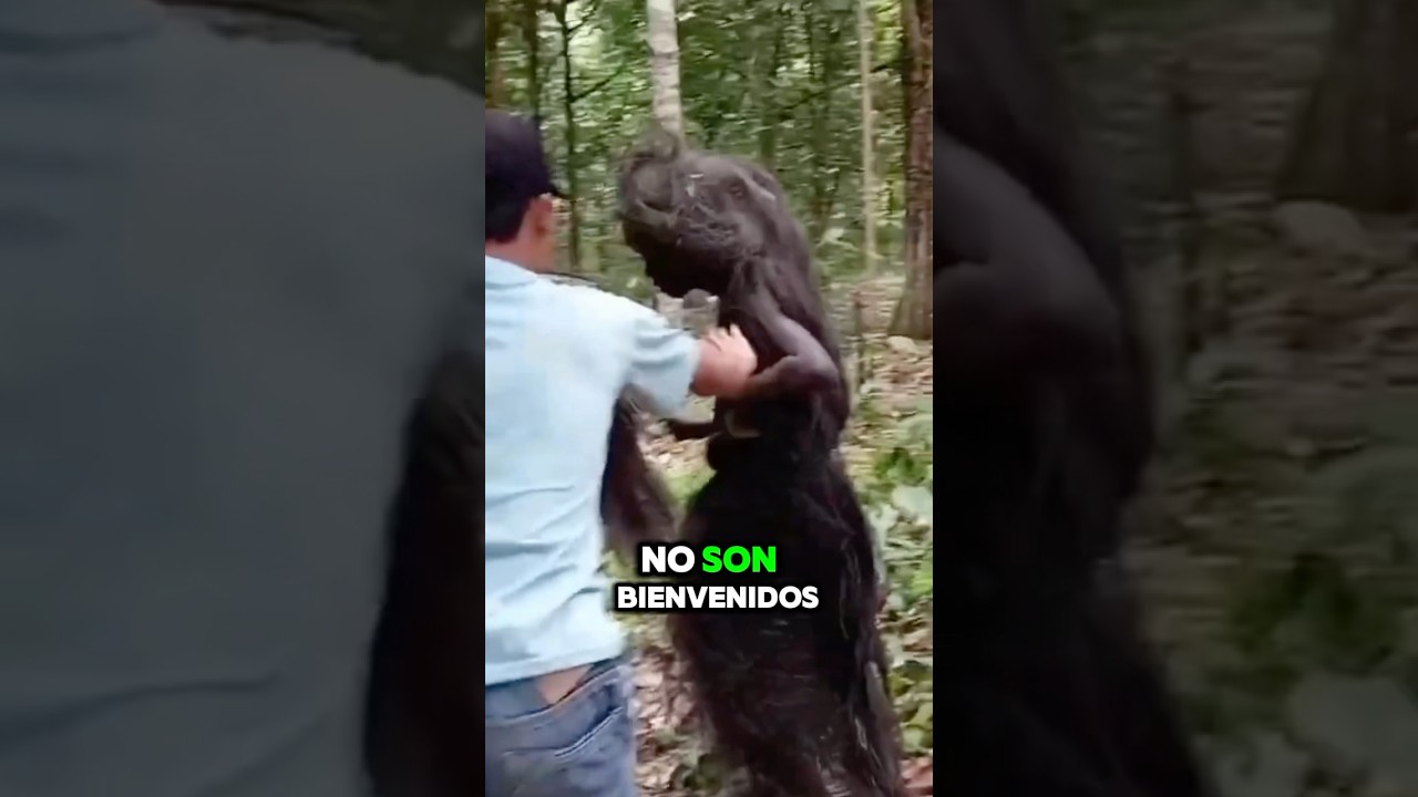 Las islas más peligrosas del mundo 🌎🤯