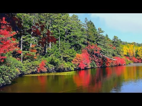 Красивая Атмосферная Инструментальная Музыка для души! Красивое видео/Beautiful instrumental music