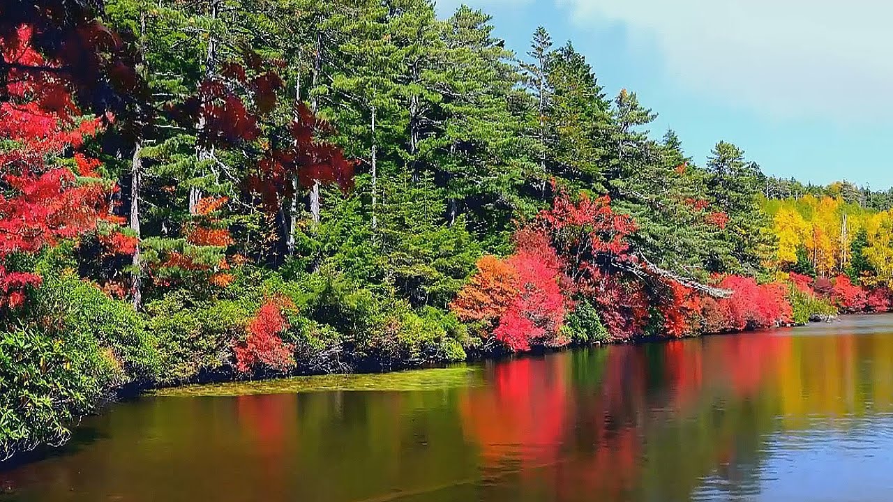 Красивая атмосферная инструментальная музыка 🎶