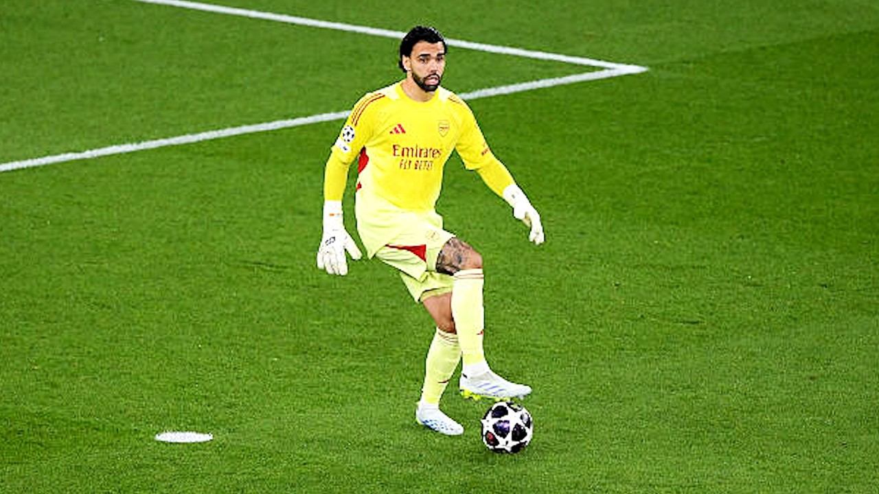 David Raya - The Best GK in The World (25/26)