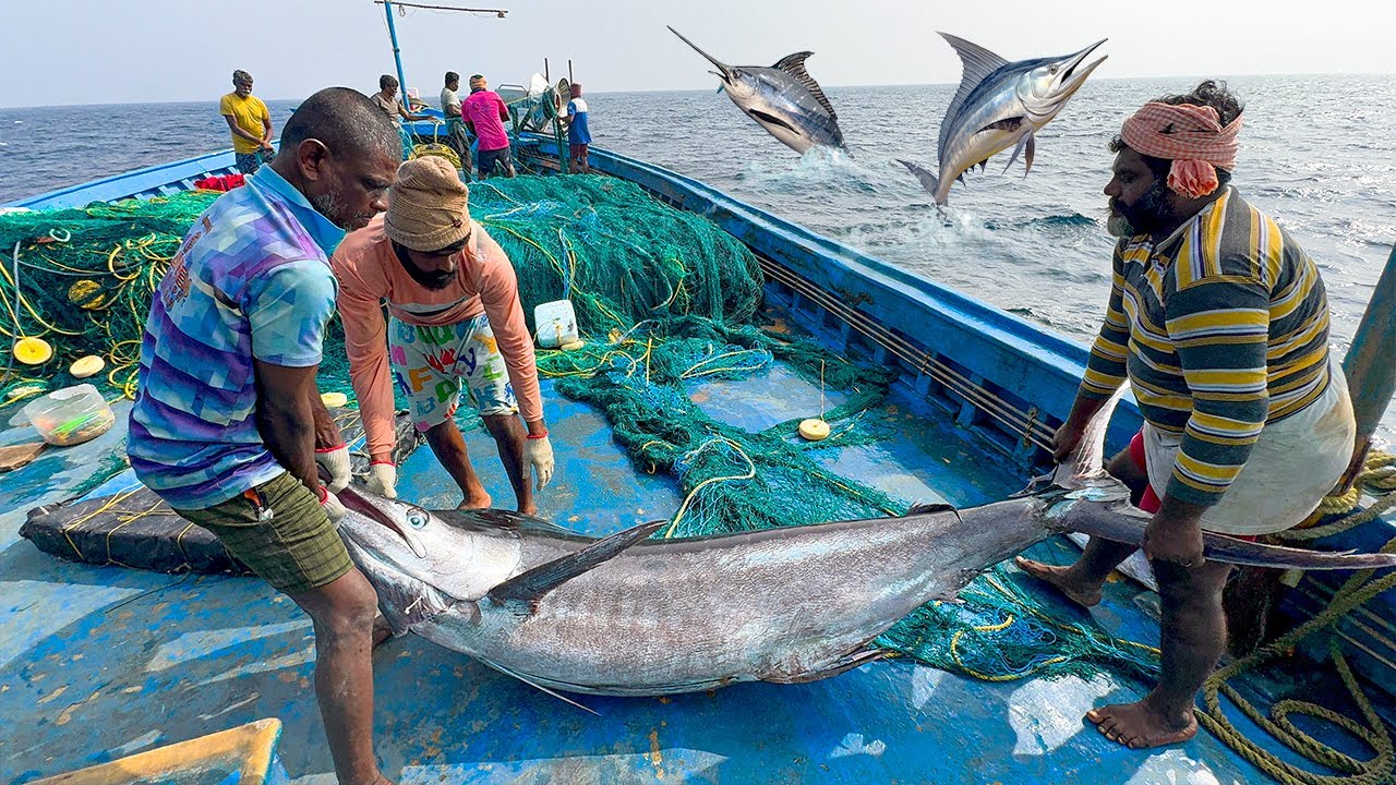 Day 10 in Deep Sea: Huge Fish Caught! 🐟