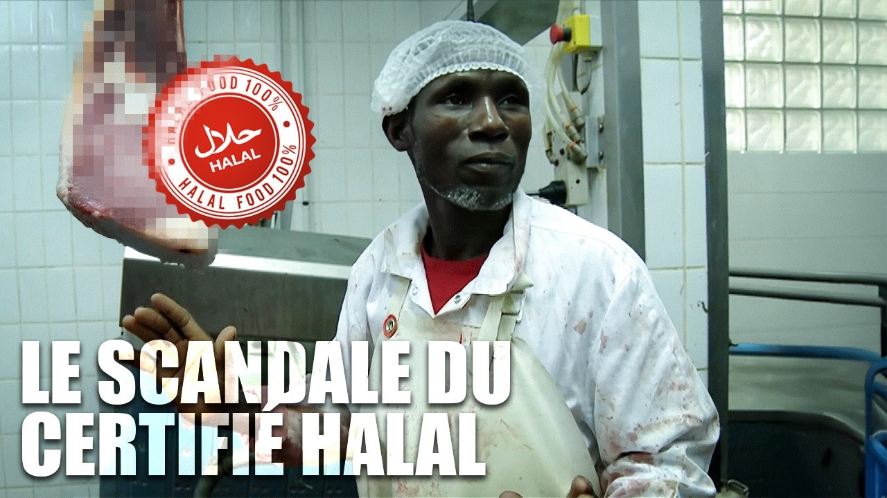 Le marché halal en France : un secteur de 5 milliards €