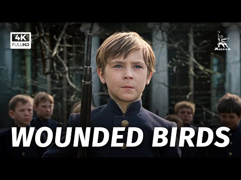Wounded birds | DRAMA | FULL MOVIE