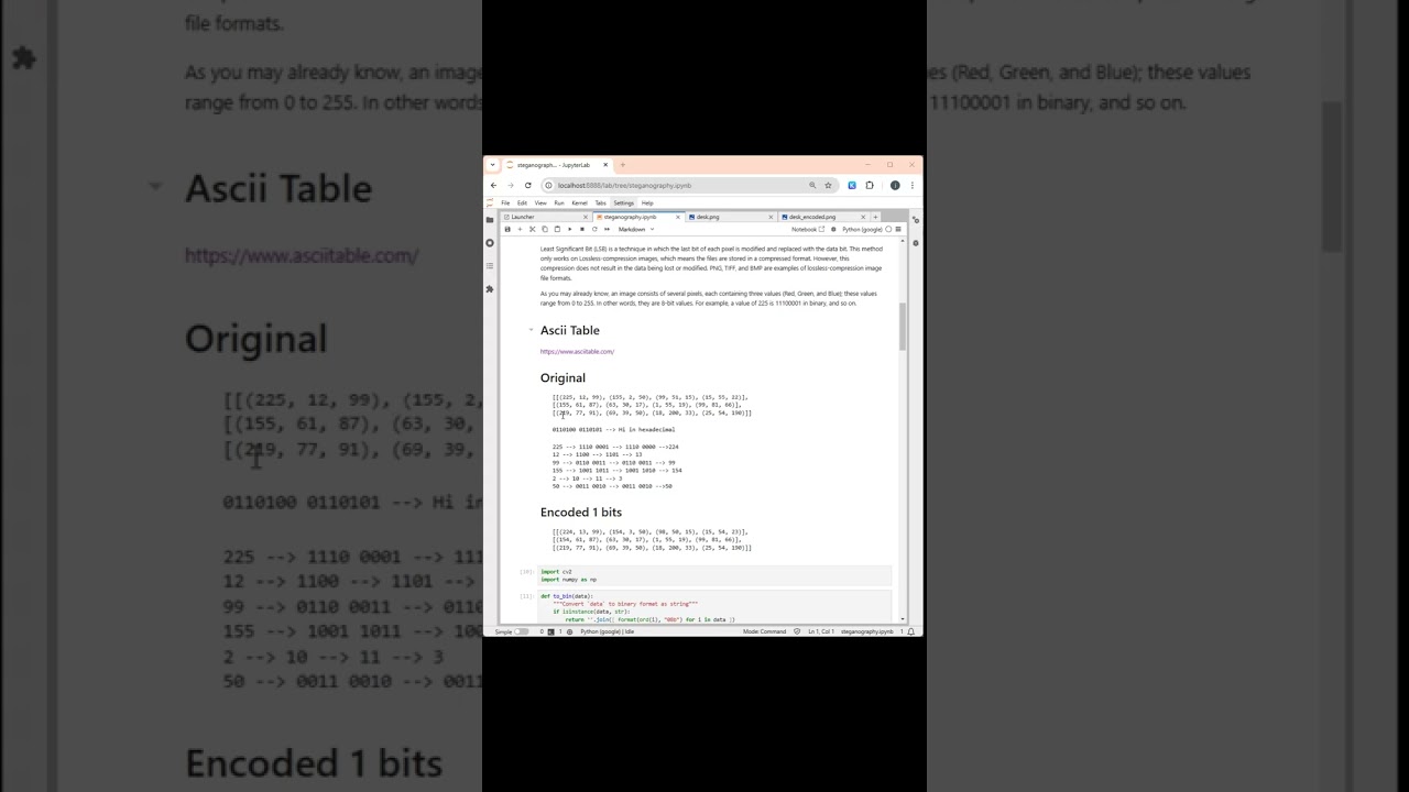 Mastering Steganography: The Ancient Art of Concealing Messages in Digital Files 🕵️‍♂️