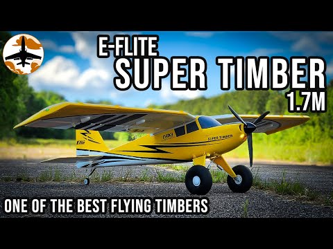Not Quite The Best, but Definitely Close - E-flite Super Timber 1 Year Review & Crash
