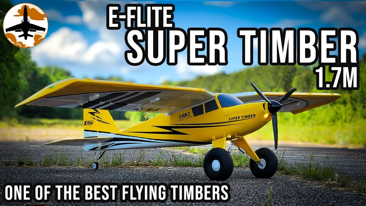 E-flite Super Timber: 1-Year Review & Crash Insights 🚁