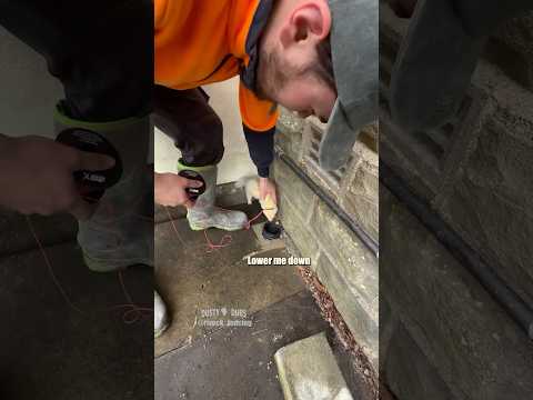 Blue Collar Ferret 🎥: rivock_fencing (IG) #shorts