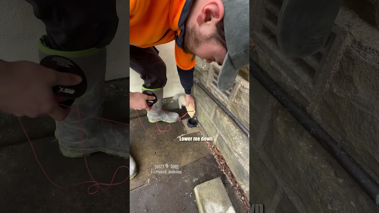 Blue Collar Ferret in Action! 🦦 | Rivock Fencing Shorts